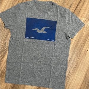 Hollister Men Gray Short Sleeve Tee S